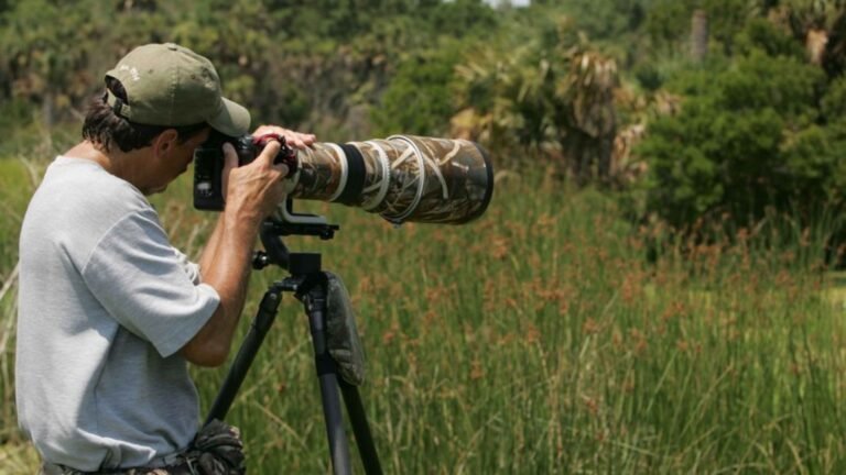 How to Get Started with Wildlife Photography