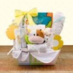 How to Pick the Right Gift for a New Parent