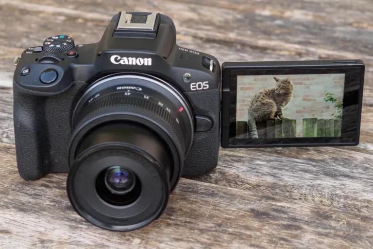 The Best Digital Cameras for Beginners: Top Picks for 2025